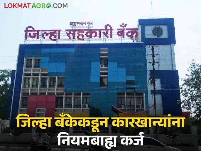 Loan for Sugar Factories : Illegal Loan from Nagar Zilla Bank to Sugar Mills | Loan for Sugar Factories : नगर जिल्हा बँकेकडून साखर कारखान्यांना मर्यादा डावलून कर्ज Loan for Sugar Factories : Illegal Loan from Nagar Zilla Bank to Sugar Mills | Loan for Sugar Factories : नगर जिल्हा बँकेकडून साखर कारखान्यांना मर्यादा डावलून कर्ज