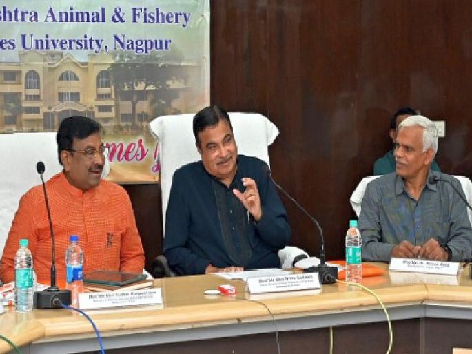 Add Modern Technology to Fisheries - Nitin Gadkari | मत्स्य व्यवसायाला आधुनिक तंत्रज्ञानाची जोड द्या - नितीन गडकरी Add Modern Technology to Fisheries - Nitin Gadkari | मत्स्य व्यवसायाला आधुनिक तंत्रज्ञानाची जोड द्या - नितीन गडकरी