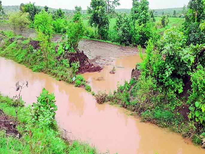 huge rainfall at Ner, Yavatmal; Nilona full, gates of Bembala will also be opened | नेर, यवतमाळला झोडपले; निळोणा तुडुंब, बेंबळाचेही दरवाजे उघडणार huge rainfall at Ner, Yavatmal; Nilona full, gates of Bembala will also be opened | नेर, यवतमाळला झोडपले; निळोणा तुडुंब, बेंबळाचेही दरवाजे उघडणार