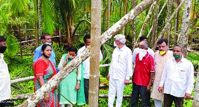 Area, number of trees will be compensated | क्षेत्र, झाडांच्या संख्येवर मिळणार भरपाई, दादा भुसे यांची माहिती Area, number of trees will be compensated | क्षेत्र, झाडांच्या संख्येवर मिळणार भरपाई, दादा भुसे यांची माहिती