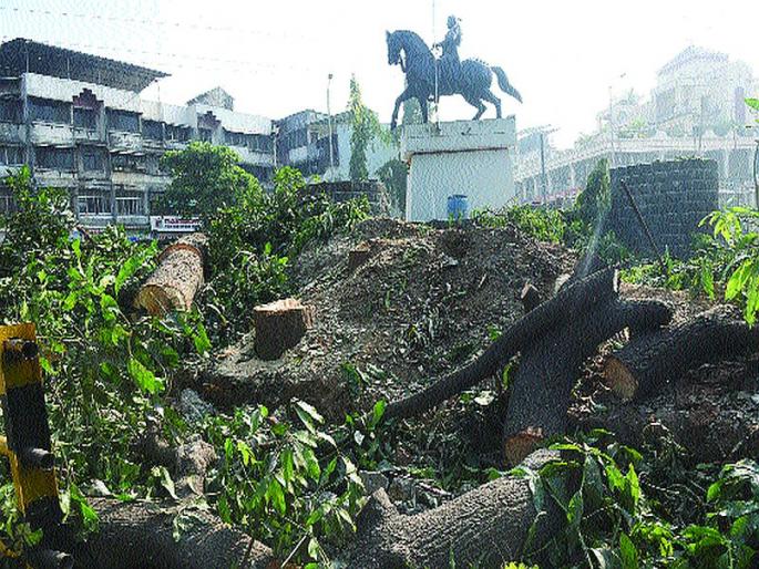 Slaughter of trees for beautification at Shivaji Chowk in Panvel | पनवेलमध्ये शिवाजी चौकात सुशोभीकरणासाठी झाडांची कत्तल Slaughter of trees for beautification at Shivaji Chowk in Panvel | पनवेलमध्ये शिवाजी चौकात सुशोभीकरणासाठी झाडांची कत्तल