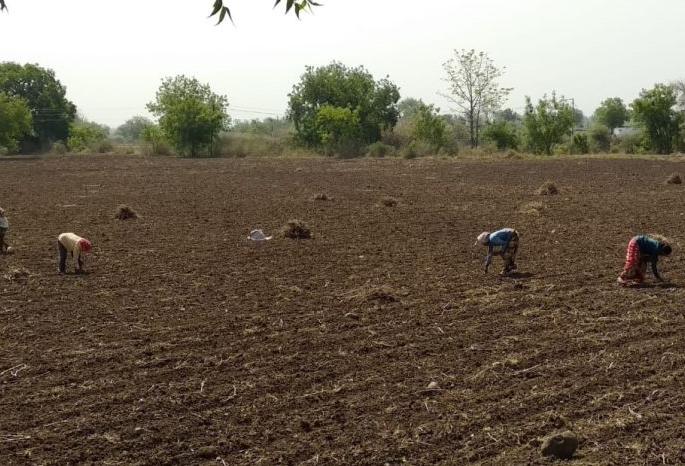So far only 35% crop loan has been disbursed in Gondia district | गोंदिया जिल्ह्यात आतापर्यंत केवळ ३५ टक्के पीककर्जाचे वाटप So far only 35% crop loan has been disbursed in Gondia district | गोंदिया जिल्ह्यात आतापर्यंत केवळ ३५ टक्के पीककर्जाचे वाटप