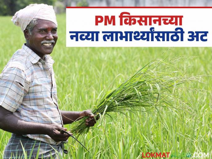 PM Kisan Are you thinking of taking the benefit of PM Kisan again? You will not get the installment without 'this' | PM Kisan Scheme : नव्याने पीएम किसानचा लाभ घेण्याचा विचार करताय? 'या'शिवाय मिळणार नाही हप्ता PM Kisan Are you thinking of taking the benefit of PM Kisan again? You will not get the installment without 'this' | PM Kisan Scheme : नव्याने पीएम किसानचा लाभ घेण्याचा विचार करताय? 'या'शिवाय मिळणार नाही हप्ता