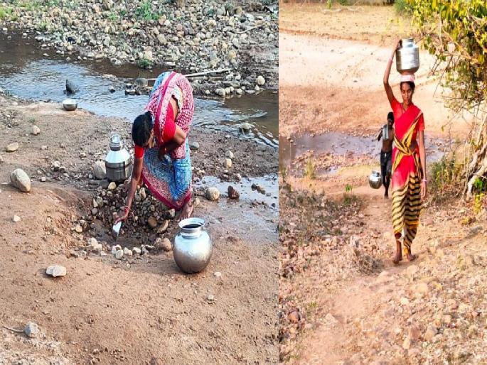 Women struggle for the search of water in remote Chittoor of gadchiroli | अतिदुर्गम चिटूरमध्ये पाण्यासाठी महिलांची वणवण भटकंती Women struggle for the search of water in remote Chittoor of gadchiroli | अतिदुर्गम चिटूरमध्ये पाण्यासाठी महिलांची वणवण भटकंती