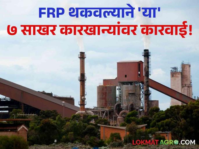 Sugarcane Factory FRP Sugar Commissionerate action against 7 sugar factories due to default of FRP amount! | Sugarcane Factory FRP : FRPची रक्कम थकवल्याने ७ साखर कारखान्यांवर साखर आयुक्तालयाकडून कारवाई! Sugarcane Factory FRP Sugar Commissionerate action against 7 sugar factories due to default of FRP amount! | Sugarcane Factory FRP : FRPची रक्कम थकवल्याने ७ साखर कारखान्यांवर साखर आयुक्तालयाकडून कारवाई!