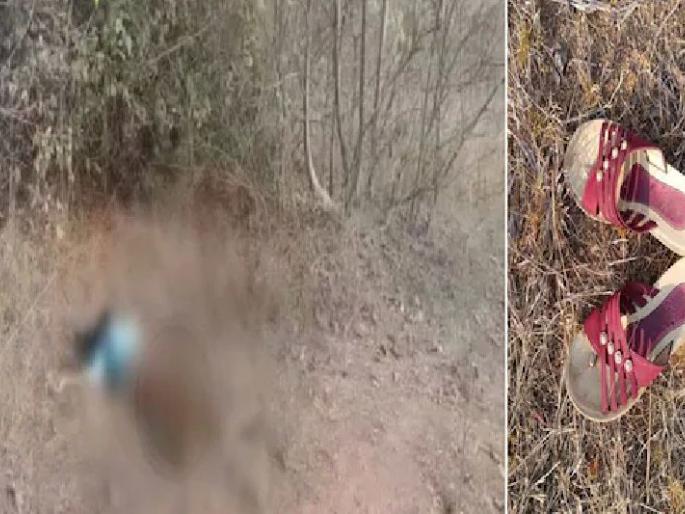 The half-naked burnt body of a young woman found in jungle near amgaon of gondia district | अर्धनग्न अन् चेहरा जळालेल्या अवस्थेत आढळला तरुणीचा मृतदेह; गोंदियात खळबळ The half-naked burnt body of a young woman found in jungle near amgaon of gondia district | अर्धनग्न अन् चेहरा जळालेल्या अवस्थेत आढळला तरुणीचा मृतदेह; गोंदियात खळबळ