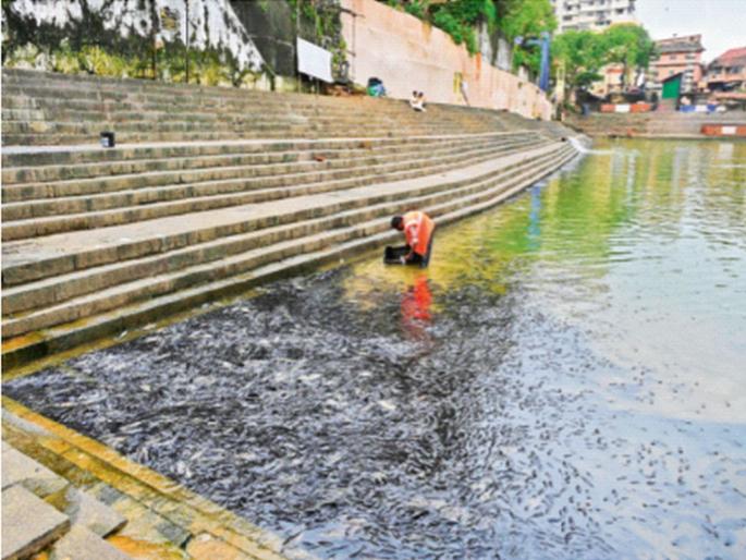 Dead fish have been seen floating in Banganga Lake in the Walkeshwar area since the second day of Sarvapitri Amavasya | ‘सर्वपित्री’चे पिंडदान आले बाणगंगा तलावामधील माशांच्या मुळावर; पर्यावरणप्रेमींची प्रशासनावर टीका