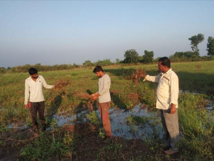 Though the deadline given by the Chief Secretary has expired, Panchanam has been slow in Jalgaon district | मुख्य सचिवांनी दिलेली मुदत संपली तरीही जळगाव जिल्ह्यात पंचनामे धीम्या गतीने Though the deadline given by the Chief Secretary has expired, Panchanam has been slow in Jalgaon district | मुख्य सचिवांनी दिलेली मुदत संपली तरीही जळगाव जिल्ह्यात पंचनामे धीम्या गतीने