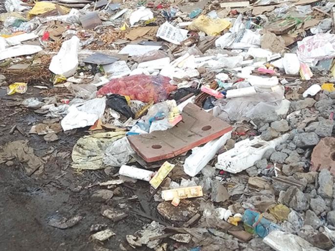 Stop working on the Debridge project; Mayor's Order | डेब्रिज प्रकल्पाचे काम थांबवा; महापौरांचे आदेश