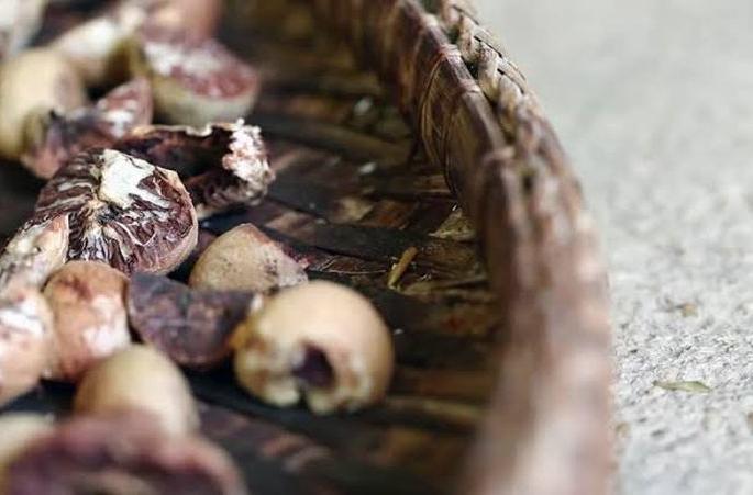 CBI probes decomposed betel nut imports in Nagpur | नागपुरातील सडकी सुपारी आयातीचा तपास सीबीआयकडे? CBI probes decomposed betel nut imports in Nagpur | नागपुरातील सडकी सुपारी आयातीचा तपास सीबीआयकडे?