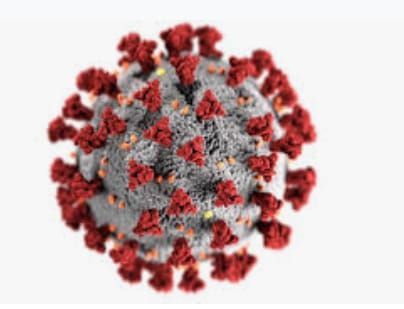 Coronavirus in Nagpur: Decrease in number of patients after 32 days | CoronaVirus in Nagpur : ३२ दिवसांनी रुग्णसंख्येत घट Coronavirus in Nagpur: Decrease in number of patients after 32 days | CoronaVirus in Nagpur : ३२ दिवसांनी रुग्णसंख्येत घट