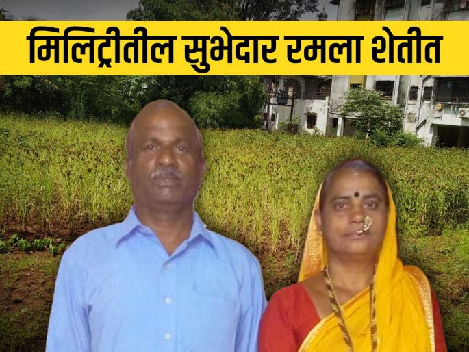 Subhedar Dattaram Ghadge is doing farming after Defence service | सुभेदार दत्ताराम घाडगे देशसेवेनंतर करत आहेत मातीची सेवा Subhedar Dattaram Ghadge is doing farming after Defence service | सुभेदार दत्ताराम घाडगे देशसेवेनंतर करत आहेत मातीची सेवा