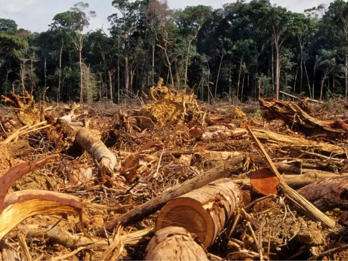 editorial on environmental ministries EIA draft and provisions in it | पर्यावरणीय परिणाम मूल्यांकन मसुदा नेमका कशासाठी?; पर्यावरण वाचवण्यासाठी की संपवण्यासाठी? editorial on environmental ministries EIA draft and provisions in it | पर्यावरणीय परिणाम मूल्यांकन मसुदा नेमका कशासाठी?; पर्यावरण वाचवण्यासाठी की संपवण्यासाठी?