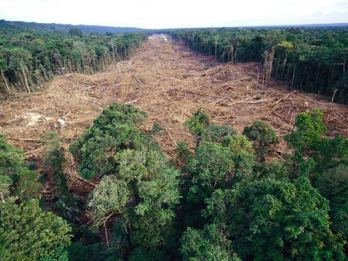 environmentalist express anger about eia 2020 slams government and opposition | सत्ताधारी, विरोधकांना पृथ्वीवरील वास्तवाचे भान नाही; राजकीय पुढाकारातून पर्यावरणाचा ऱ्हास environmentalist express anger about eia 2020 slams government and opposition | सत्ताधारी, विरोधकांना पृथ्वीवरील वास्तवाचे भान नाही; राजकीय पुढाकारातून पर्यावरणाचा ऱ्हास