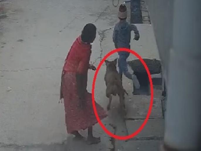 Delhi pitbull dog attacked child playing outside his house biting off his ear | ६ वर्षांच्या चिमुकल्यावर पिटबुलचा हल्ला; चावल्यामुळे कान तुटला, चेहरा व डोक्यावर जखमा; मालकाला अटक