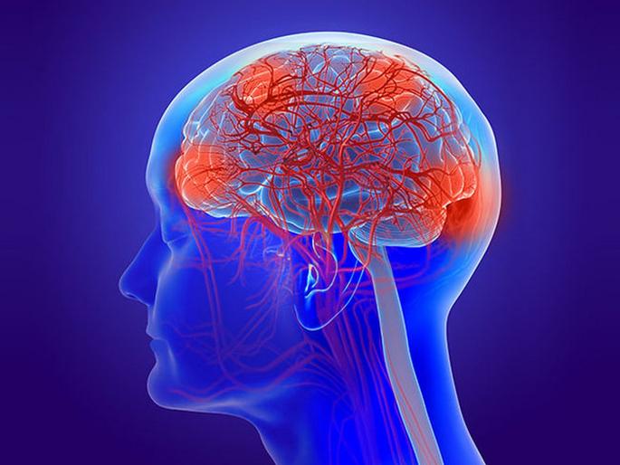 Dementia care costs in next two decades | तरूणांमध्ये वाढतोय डिमेंशियाचा धोका, काही वर्षात दुप्पट होणार 'या' पीडितांची संख्या! Dementia care costs in next two decades | तरूणांमध्ये वाढतोय डिमेंशियाचा धोका, काही वर्षात दुप्पट होणार 'या' पीडितांची संख्या!