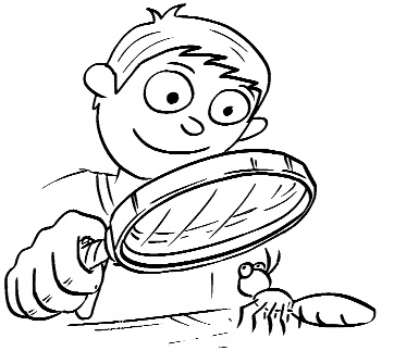 Kolhapur: Keep clean, keep dry day, easy solution to stop dengue |  कोल्हापूर : स्वच्छता राखा, ‘कोरडा’ दिवस पाळा, ‘डेंग्यू’ला रोखण्याचे सोपे उपाय Kolhapur: Keep clean, keep dry day, easy solution to stop dengue |  कोल्हापूर : स्वच्छता राखा, ‘कोरडा’ दिवस पाळा, ‘डेंग्यू’ला रोखण्याचे सोपे उपाय