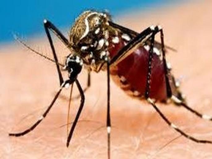 Harnaar by Nandurbar Companion Disease | नंदुरबारकर साथीच्या आजारांनी हैराण Harnaar by Nandurbar Companion Disease | नंदुरबारकर साथीच्या आजारांनी हैराण