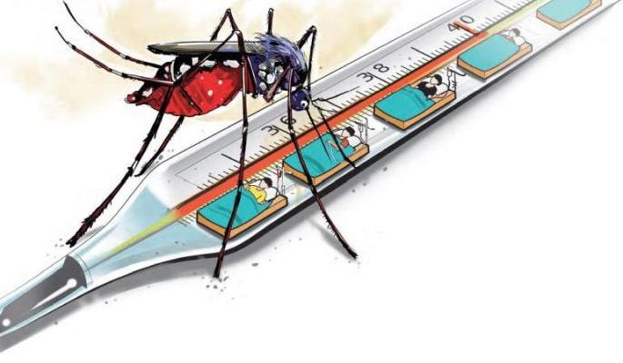 By the end of September, the number of dengue and malaria patients will increase | सप्टेंबर अखेर डेंग्यू, मलेरियाचे रूग्ण वाढणार By the end of September, the number of dengue and malaria patients will increase | सप्टेंबर अखेर डेंग्यू, मलेरियाचे रूग्ण वाढणार