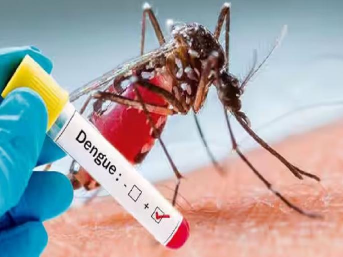 A 13-year-old schoolboy dies of cardiac arrest while undergoing treatment for dengue in satara | Satara: डेंग्यूची लागण, उपचारादरम्यान हृदयाचे ठोके बंद पडून १३ वर्षीय शाळकरी मुलाचा मृत्यू A 13-year-old schoolboy dies of cardiac arrest while undergoing treatment for dengue in satara | Satara: डेंग्यूची लागण, उपचारादरम्यान हृदयाचे ठोके बंद पडून १३ वर्षीय शाळकरी मुलाचा मृत्यू