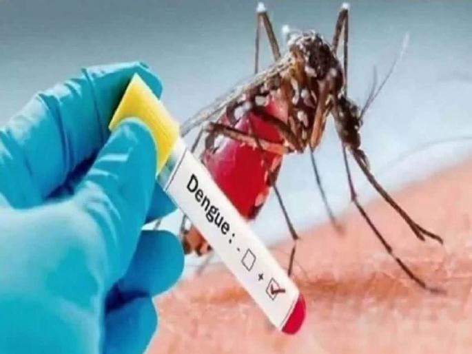 India has developed a dengue vaccine | भारताने तयार केली डेंग्यूची लस India has developed a dengue vaccine | भारताने तयार केली डेंग्यूची लस