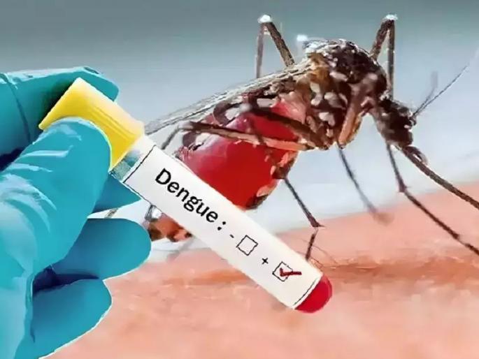 Dengue free India soon! Success in making indigenous vaccine, test will be done on 10 thousand people | लवकरच डेंग्यूमुक्त भारत! स्वदेशी लस बनविण्यात यश, १० हजार लोकांवर चाचणी होणार Dengue free India soon! Success in making indigenous vaccine, test will be done on 10 thousand people | लवकरच डेंग्यूमुक्त भारत! स्वदेशी लस बनविण्यात यश, १० हजार लोकांवर चाचणी होणार