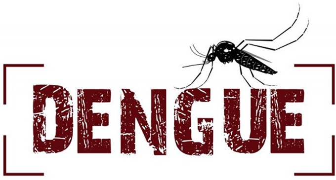 Amravati tops in dengue | डेंग्यूरुग्णांमध्ये अमरावती अव्वल! पश्चिम व-हाडातील स्थिती भयावह Amravati tops in dengue | डेंग्यूरुग्णांमध्ये अमरावती अव्वल! पश्चिम व-हाडातील स्थिती भयावह