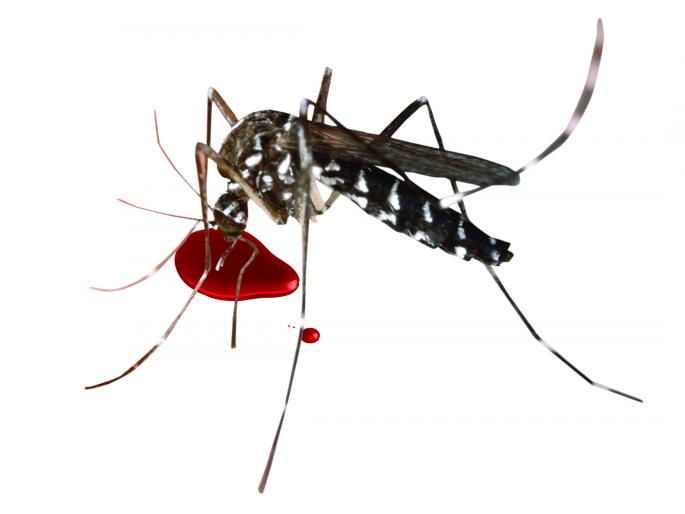 Citizens suffer from Dengue-like illness at Parola | पारोळा येथे डेंग्यूसदृश आजाराने नागरिक त्रस्त Citizens suffer from Dengue-like illness at Parola | पारोळा येथे डेंग्यूसदृश आजाराने नागरिक त्रस्त