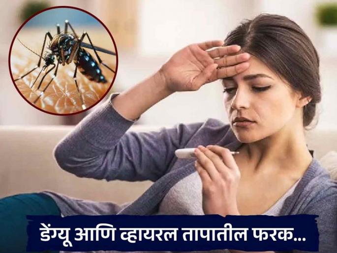 How to identify the symptoms of dengue | साधं व्हायरल की डेंग्यूचा ताप, कसं ओळखाल? ‘ही’ लक्षण दिसली तर समजू नका किरकोळ व्हायरल..