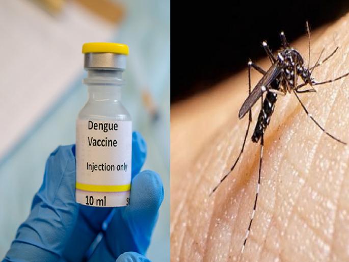 Dengue Vaccine in India: Dengue vaccine will now be available in India; ICMR starts Phase III trial... | आता भारतात मिळणार डेंग्यूची लस; ICMR ने सुरू केली तिसऱ्या टप्प्यातील चाचणी... Dengue Vaccine in India: Dengue vaccine will now be available in India; ICMR starts Phase III trial... | आता भारतात मिळणार डेंग्यूची लस; ICMR ने सुरू केली तिसऱ्या टप्प्यातील चाचणी...