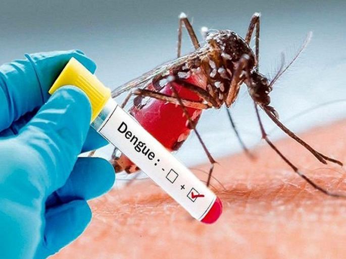 Dengue Fever: Big News! Scientists have found a drug for dengue, which will soon be tested at 20 centers | Dengue Fever: मोठी बातमी! शास्त्रज्ञांना सापडले डेंग्यूचे औषध, लवकरच 20 केंद्रांवर होणार चाचणी Dengue Fever: Big News! Scientists have found a drug for dengue, which will soon be tested at 20 centers | Dengue Fever: मोठी बातमी! शास्त्रज्ञांना सापडले डेंग्यूचे औषध, लवकरच 20 केंद्रांवर होणार चाचणी