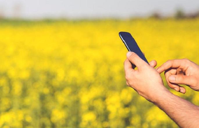 Department of Agriculture is now 'online'! | कृषी विभागाचे कामकाज आता ‘ऑनलाईन’वर ! Department of Agriculture is now 'online'! | कृषी विभागाचे कामकाज आता ‘ऑनलाईन’वर !