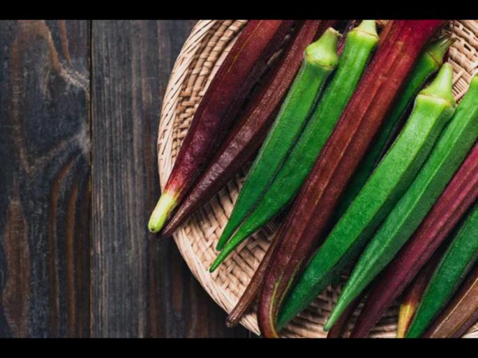 Green or Red Which lady finger is best for your health | लाल की हिरवी...कोणती भेंडी आरोग्यासाठी जास्त फायदेशीर? एक्सपर्टने सांगितलं उत्तर Green or Red Which lady finger is best for your health | लाल की हिरवी...कोणती भेंडी आरोग्यासाठी जास्त फायदेशीर? एक्सपर्टने सांगितलं उत्तर