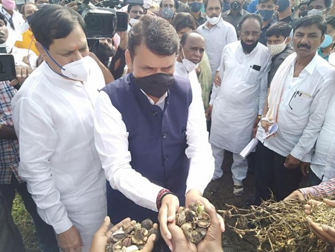 Help out by talking nonsense and tingling; Devendra Fadnavis slammed the government | बोलघेवडेपणा व टिंगलटवाली सोडून मदत करा; देवेंद्र फडणवीसांनी सरकारला फटकारले Help out by talking nonsense and tingling; Devendra Fadnavis slammed the government | बोलघेवडेपणा व टिंगलटवाली सोडून मदत करा; देवेंद्र फडणवीसांनी सरकारला फटकारले