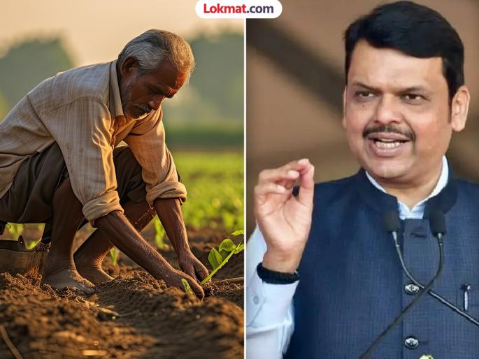 Good news for farmers from the Chief Minister devendra fadnavis Important assurance given regarding electricity bills | मुख्यमंत्र्यांकडून शेतकऱ्यांसाठी खूशखबर; वीज बिलाबाबत दिलं महत्त्वाचं आश्वासन, म्हणाले... Good news for farmers from the Chief Minister devendra fadnavis Important assurance given regarding electricity bills | मुख्यमंत्र्यांकडून शेतकऱ्यांसाठी खूशखबर; वीज बिलाबाबत दिलं महत्त्वाचं आश्वासन, म्हणाले...