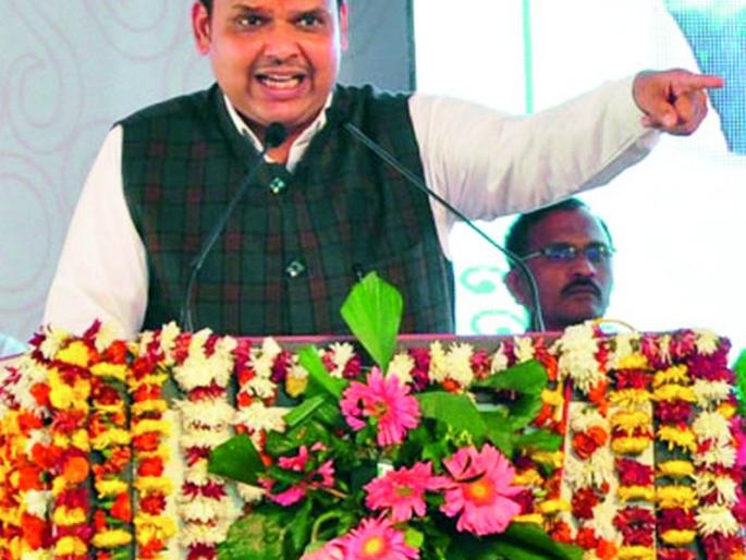 Opponents irrigated the Tigers while in power - Chief Minister Devendra Fadnavis | सत्तेत असताना विरोधकांनी तिजोर्‍यांचे सिंचन केले - मुख्यमंत्री देवेंद्र फडणवीस