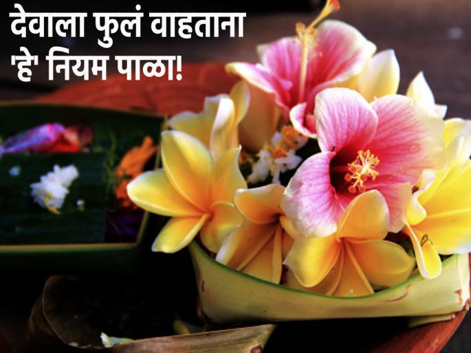 Take 'this' care when offering flowers to the gods; Read the suggestions made by Dharmashastra! | देवांना फुले वाहताना 'ही' काळजी घ्या; वाचा धर्मशास्त्राने केलेल्या सूचना!