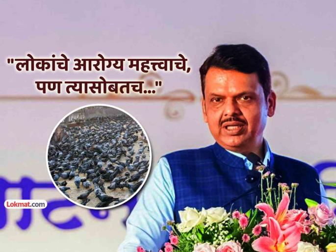Devendra Fadnavis on kabutarkhana controversy said this matter of society so health and faith should be balanced | "हा वादाचा नव्हे, समाजाचा विषय; आरोग्य अन् आस्था..."; CM फडणवीसांचे कबुतरखाना वादावर विधान Devendra Fadnavis on kabutarkhana controversy said this matter of society so health and faith should be balanced | "हा वादाचा नव्हे, समाजाचा विषय; आरोग्य अन् आस्था..."; CM फडणवीसांचे कबुतरखाना वादावर विधान