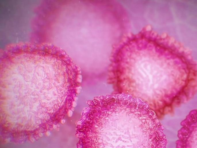 Under the supervision of the state 229 migrant coronas are negative | राज्यातील निरीक्षणाखालील २२९ प्रवासी करोना निगेटिव्ह Under the supervision of the state 229 migrant coronas are negative | राज्यातील निरीक्षणाखालील २२९ प्रवासी करोना निगेटिव्ह