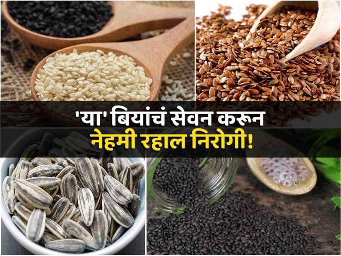 According to Dietitian seeds and their health benefits | 'या' बियांचा आहारात समावेश करून रहाल निरोगी, डायटिशिअनने सांगितले फायदे According to Dietitian seeds and their health benefits | 'या' बियांचा आहारात समावेश करून रहाल निरोगी, डायटिशिअनने सांगितले फायदे