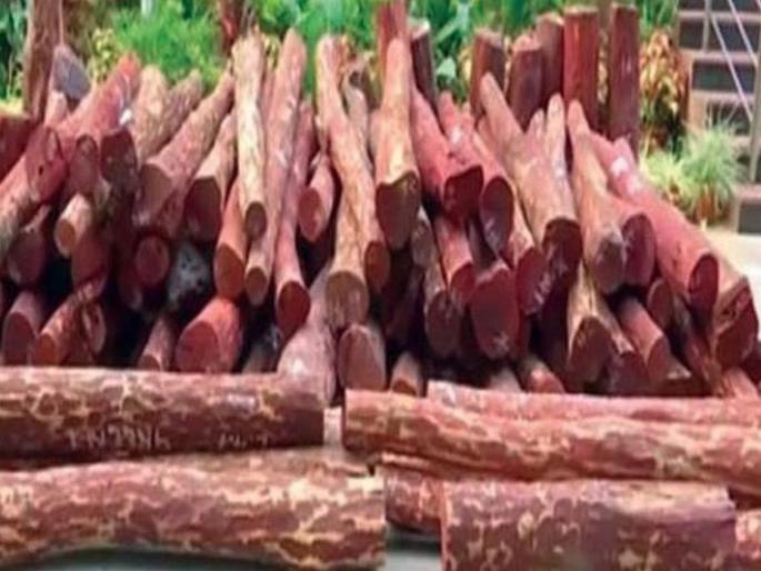 sandalwood worth twenty lakhs seized near Solapur! | अबब! तब्बल वीस लाखांचे चंदन सोलापूरजवळ जप्त! sandalwood worth twenty lakhs seized near Solapur! | अबब! तब्बल वीस लाखांचे चंदन सोलापूरजवळ जप्त!
