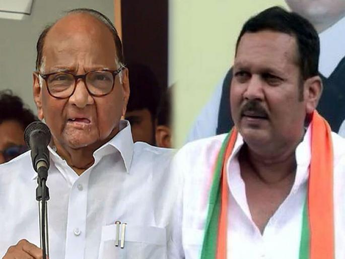 Maharashtra Election 2019: Who is the King of Satara? Fifty Fifty for the Assembly; But the Lok Sabha by election decided | महाराष्ट्र निवडणूक 2019 : सातारकरांचा विधानसभेत 'समान न्याय'; पण लोकसभा 'किंग' ठरवणार Maharashtra Election 2019: Who is the King of Satara? Fifty Fifty for the Assembly; But the Lok Sabha by election decided | महाराष्ट्र निवडणूक 2019 : सातारकरांचा विधानसभेत 'समान न्याय'; पण लोकसभा 'किंग' ठरवणार