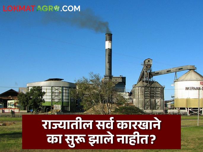 Sugarcane Factory This is the only sugar factory in the state The harvesting season has not yet started at full capacity | Sugarcane Factory : राज्यातील एवढेच साखर कारखाने सुरू! अजून पूर्ण क्षमतेने गाळप हंगाम सुरूच झाला नाही