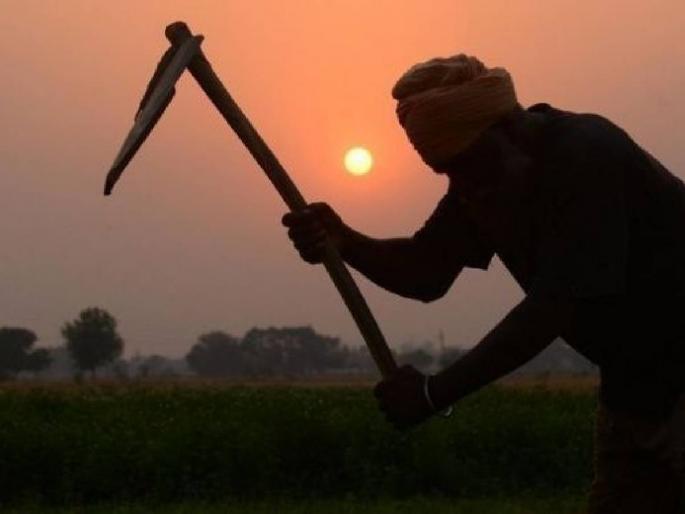 Govt gets loan for sowing for Rabi, application started.. | रब्बीसाठी पेरण्यांसाठी मिळते शासनाकडून कर्ज, अर्ज सुरू.. Govt gets loan for sowing for Rabi, application started.. | रब्बीसाठी पेरण्यांसाठी मिळते शासनाकडून कर्ज, अर्ज सुरू..