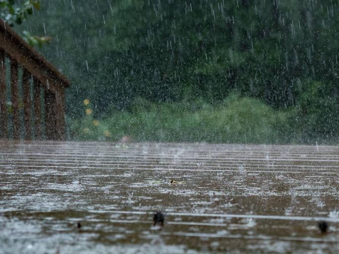 Overnight rain, cloudy for the fifth day in a row in Chhatrapati Sambhajinagar | सलग पाचव्या दिवशी रात्रभर पाऊस, आज छत्रपती संभाजीनगर जिल्ह्यात ढगाळ वातावरण Overnight rain, cloudy for the fifth day in a row in Chhatrapati Sambhajinagar | सलग पाचव्या दिवशी रात्रभर पाऊस, आज छत्रपती संभाजीनगर जिल्ह्यात ढगाळ वातावरण