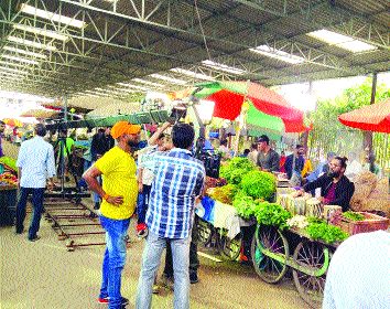 Intense filming in the municipality | पालिकेच्या मंडईमध्ये चक्क चित्रीकरण Intense filming in the municipality | पालिकेच्या मंडईमध्ये चक्क चित्रीकरण