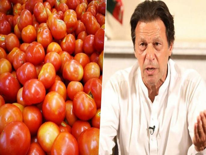 India responsible for inflation in Pakistan; The claim of the minister of Imran Khan | पाकिस्तानमधील महागाईसाठी भारत जबाबदार; इम्रान खानच्या मंत्र्याचा दावा India responsible for inflation in Pakistan; The claim of the minister of Imran Khan | पाकिस्तानमधील महागाईसाठी भारत जबाबदार; इम्रान खानच्या मंत्र्याचा दावा