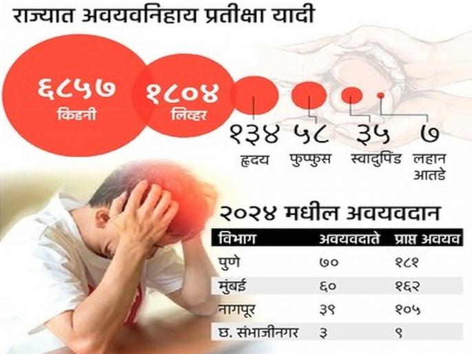 In Maharashtra, 172 brain-dead people donated their lives to 457 patients; Pune division tops in organ donation, Ch. Sambhajinagar behind | महाराष्ट्रात 172 मेंदूमृतांनी दिले 457 रुग्णांना जीवदान; अवयवदानात पुणे विभाग अव्वल, छ. संभाजीनगर मागे In Maharashtra, 172 brain-dead people donated their lives to 457 patients; Pune division tops in organ donation, Ch. Sambhajinagar behind | महाराष्ट्रात 172 मेंदूमृतांनी दिले 457 रुग्णांना जीवदान; अवयवदानात पुणे विभाग अव्वल, छ. संभाजीनगर मागे