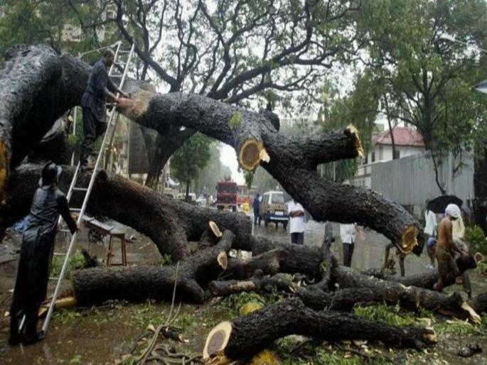 Tree cutting is Legal for Metro Carsheds | मेट्रो कारशेडसाठीची वृक्षतोड कायदेशीर Tree cutting is Legal for Metro Carsheds | मेट्रो कारशेडसाठीची वृक्षतोड कायदेशीर