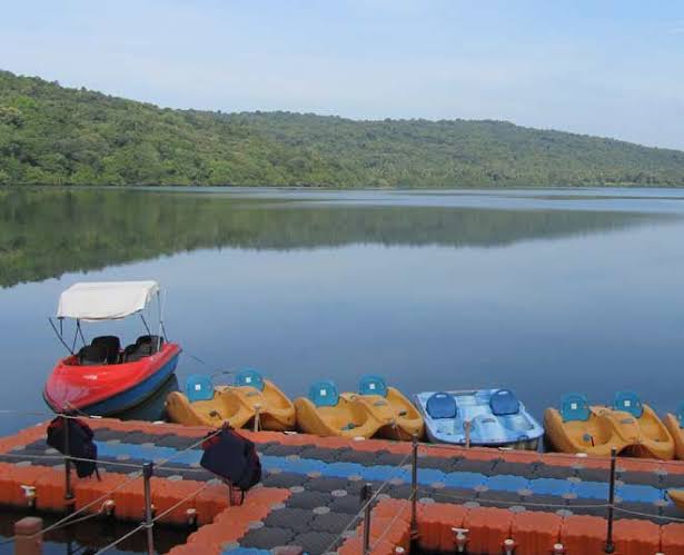 Malvan taluka has the highest rainfall of 178 mm. The rain | मालवण तालुक्यात सर्वाधिक 178 मि.मी. पाऊस Malvan taluka has the highest rainfall of 178 mm. The rain | मालवण तालुक्यात सर्वाधिक 178 मि.मी. पाऊस